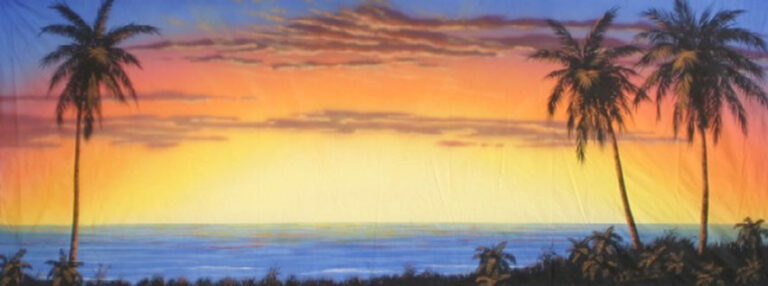 Tropical Sunset backdrop S2850