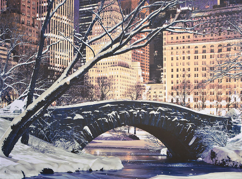 Snowy Central Park Backdrop