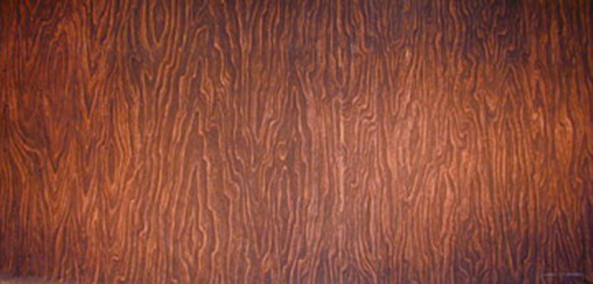 Wood Paneled Interior Backdrop