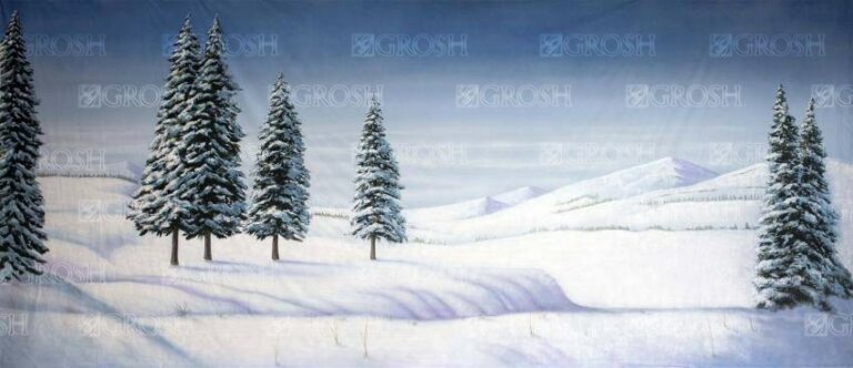 Day Snow Landscape backdrop S3444