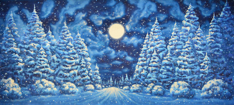 Night Snow Landscape backdrop S3408
