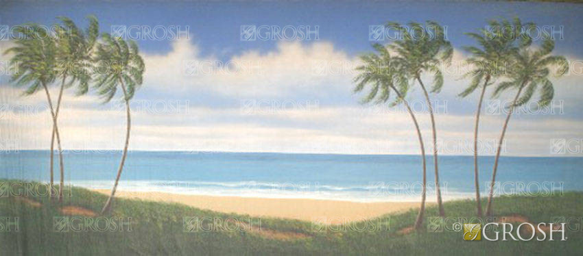 Beach Landscape Backdrop