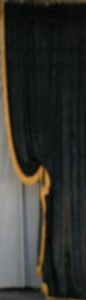 Black Plush Leg with Gold Fringe Backdrop