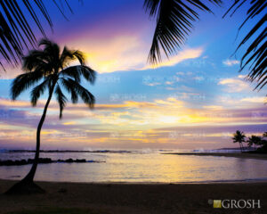 Blue Hawaiian Sunset Pop-Up Drop Backdrop