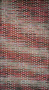 Brick Wall Leg Backdrop