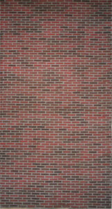 Brick Wall Leg Backdrop