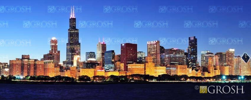 Chicago Skyline 1