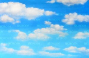 Blue Day Sky Backdrop
