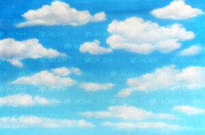 Blue Day Sky Backdrop