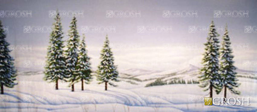 Day Snow Landscape Backdrop