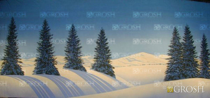 Day Snow Pine Landscape