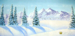 Day Snow Landscape Backdrop