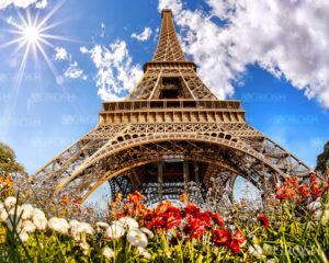 Daytime Eiffel Tower Pop-Up Drop Backdrop
