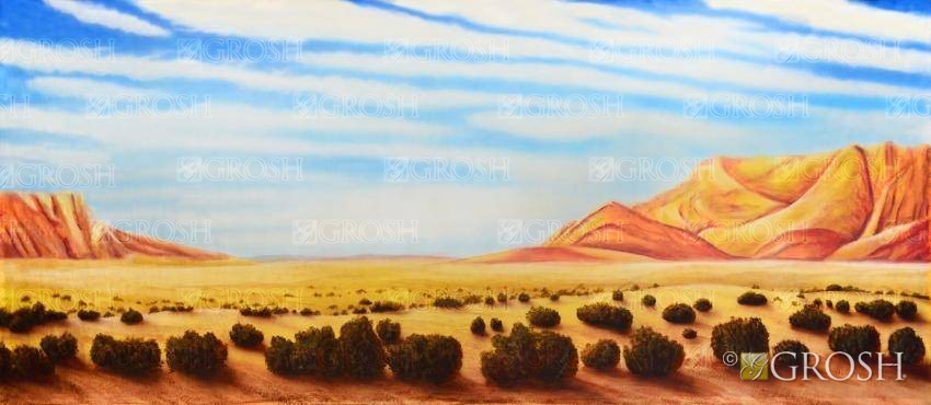 Daytime Desert Backdrop