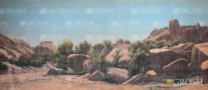 Daytime Rocky Western Desert Backdrop