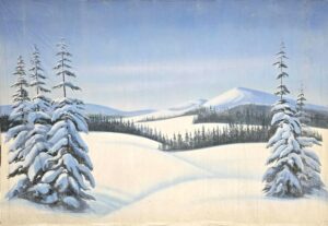 Fresh Snow Landscape Backdrop