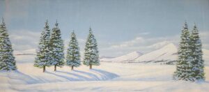 Day Snow Landscape Backdrop