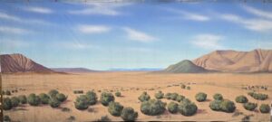 Dry Desert Landscape Backdrop