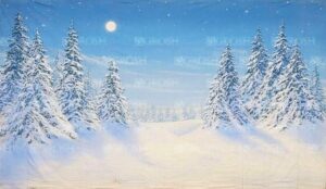 Full Moon Night Snow Backdrop