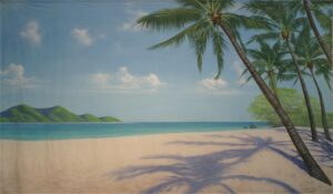 Daytime Tropical Beach Backdrop