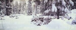 Snow Forested Landscape Backdrop
