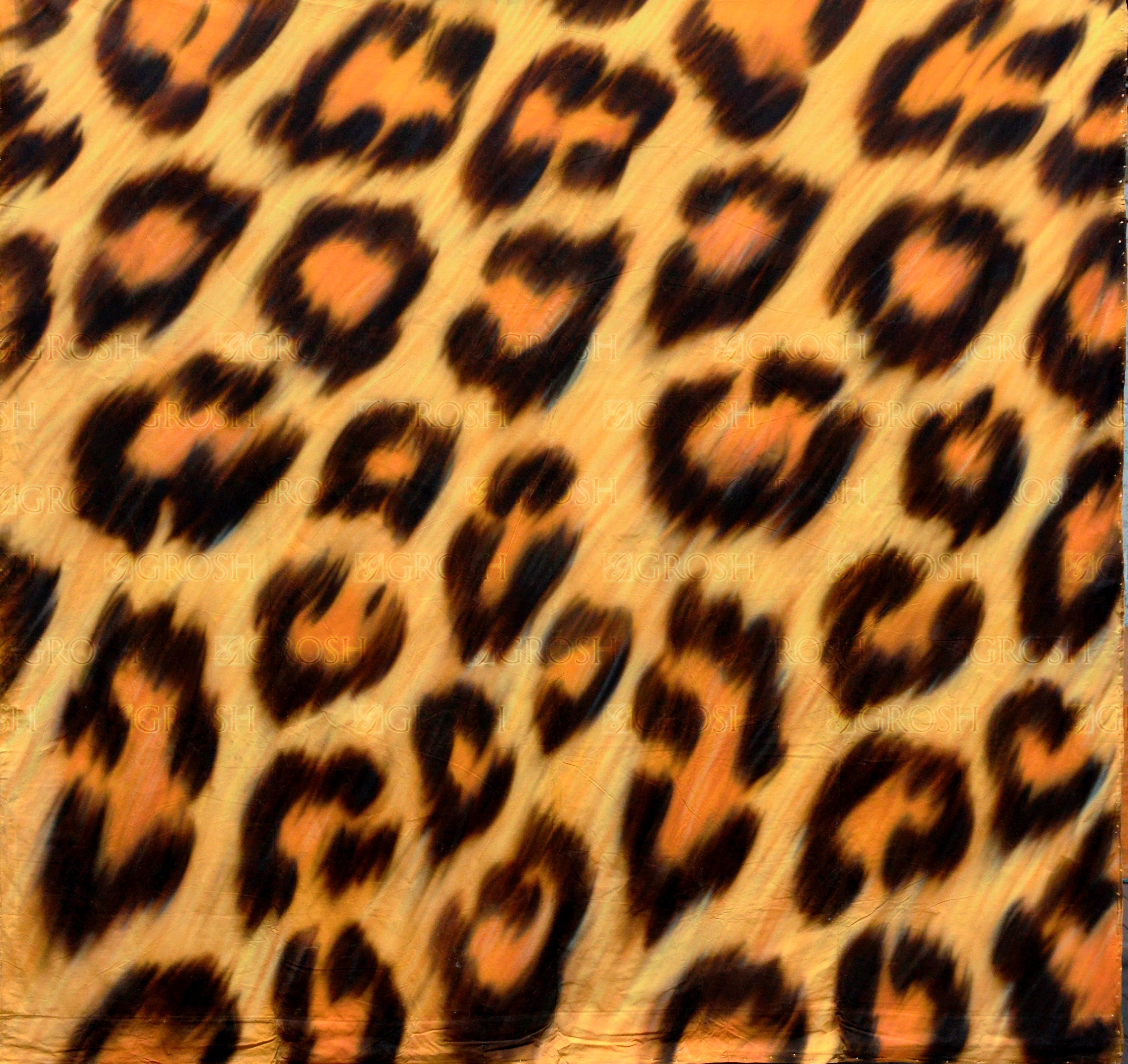 Leopard Print Backdrop