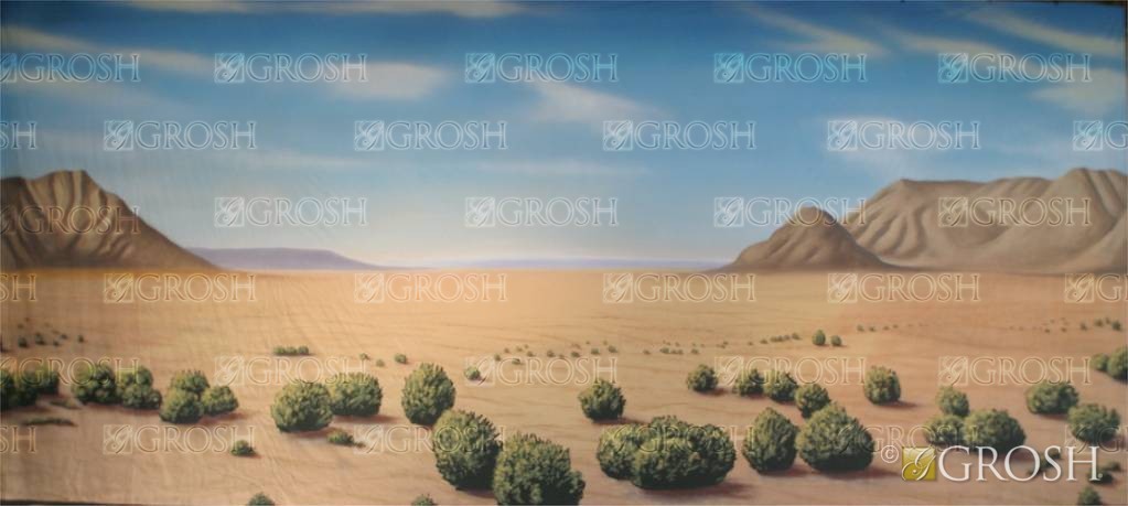 Dry Desert Landscape