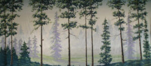 Evergreen Forest Backdrop