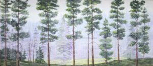 Evergreen Forest Backdrop