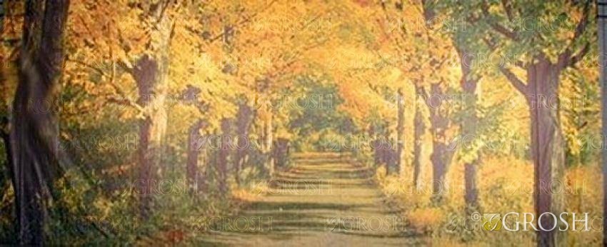 Fall Landscape backdrop ES1978 2