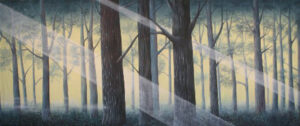 Sunlit Fern Forest Backdrop