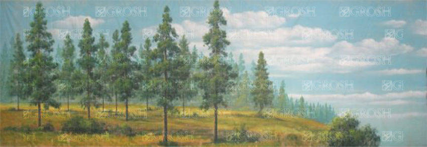 Mountain Forest Landscape