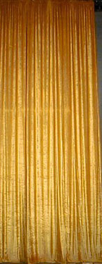 Gold Plush Leg Backdrop