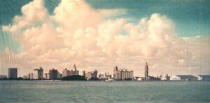 Miami Skyline Backdrop