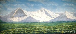 White Mountain Backdrop