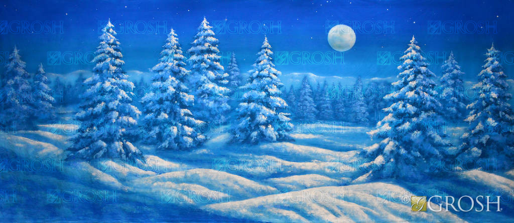 Blue Night Snow Landscape