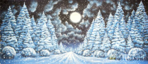 Pine Tree Night Snow Backdrop