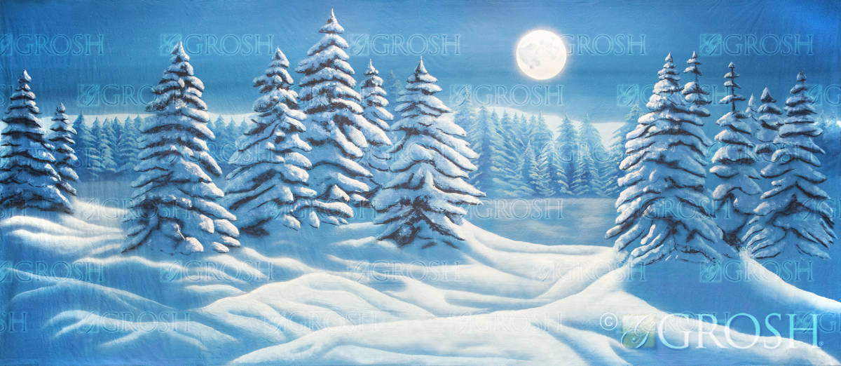 Night Snow Landscape backdrop ES8086 1