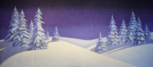 Starry Night Snow Backdrop