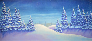 Starry Night Snow Backdrop