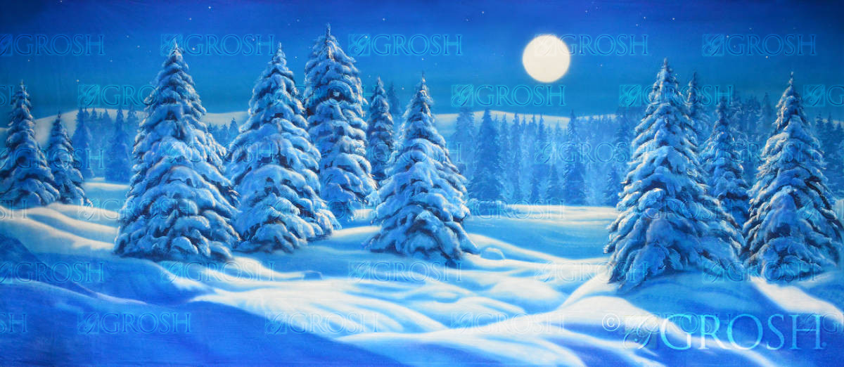 Blue Night Snow Landscape Backdrop