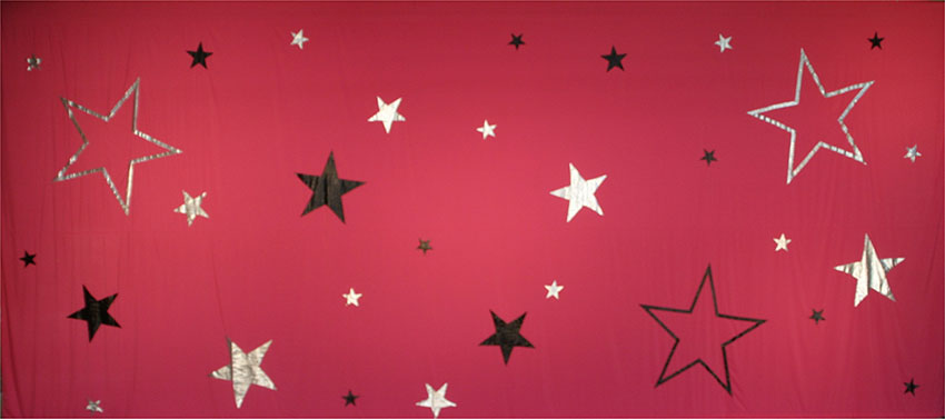 Pink Star Applique Backdrop