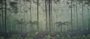 Misty Rainforest Backdrop