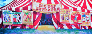 Circus Pop-Up Drop Backdrop