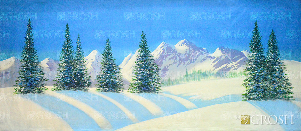 Day Snow Landscape