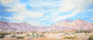 Daytime Desert Landscape Backdrop