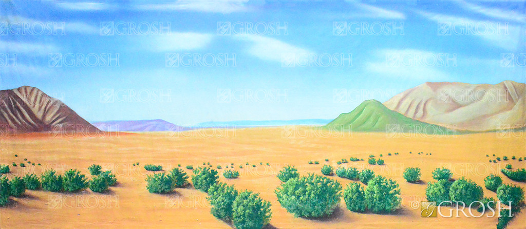 Desert Landscape Leg (SL) Backdrop