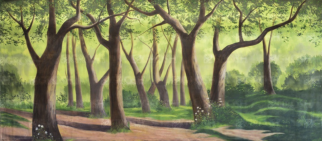 Daytime Forest Backdrop