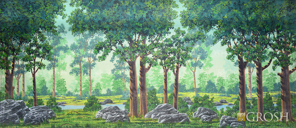 Rocky Forest
