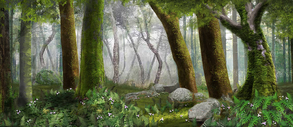 Wildwood Forest Panel 3 Backdrop